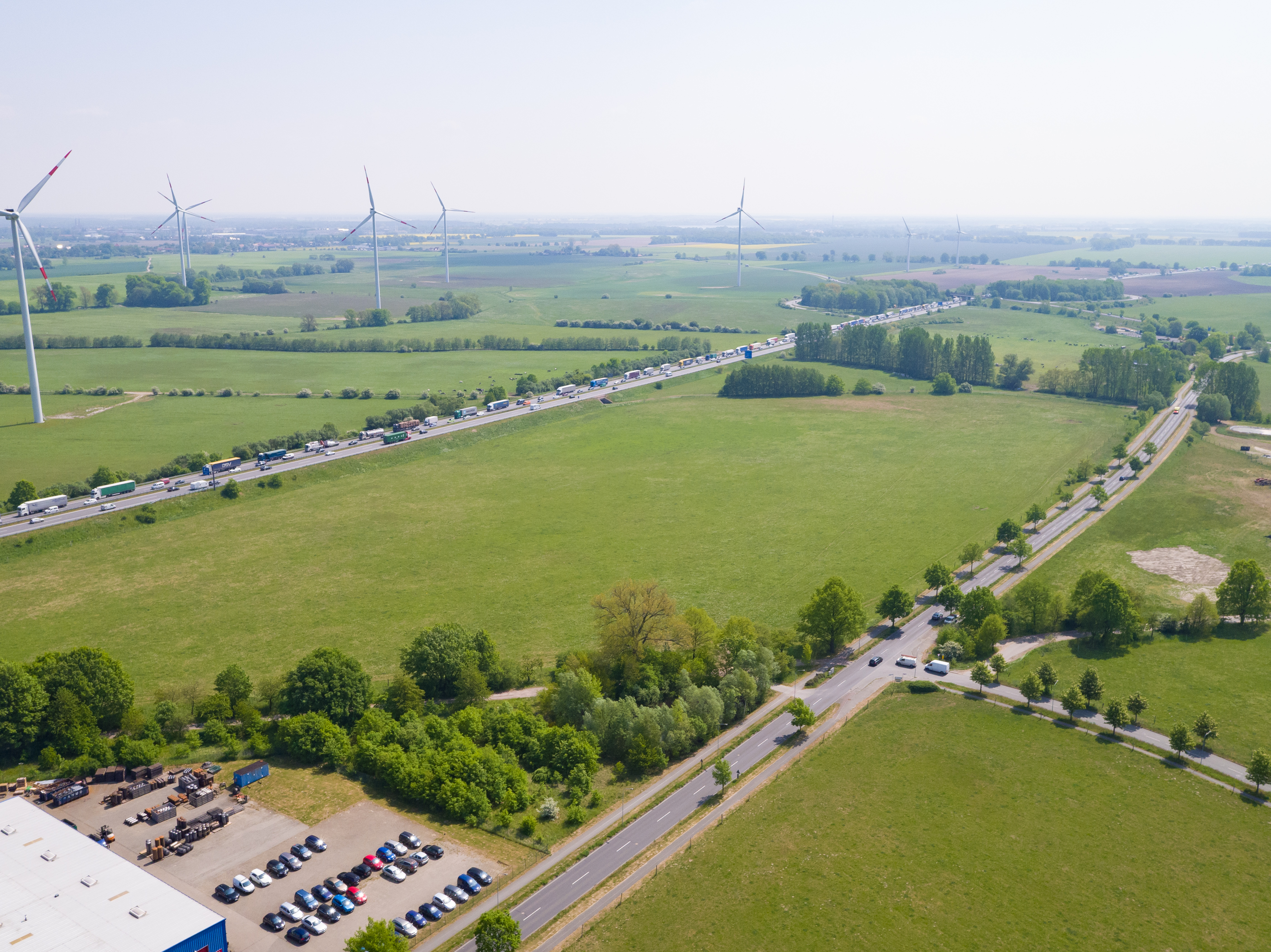 Ansiedlung & Bestandspflege